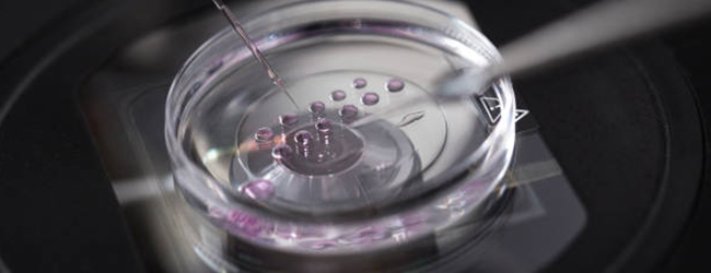 Cancer Prevention Precision Control Institute