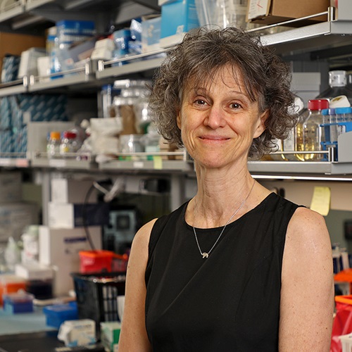 Véronique Dartois, Ph.D.