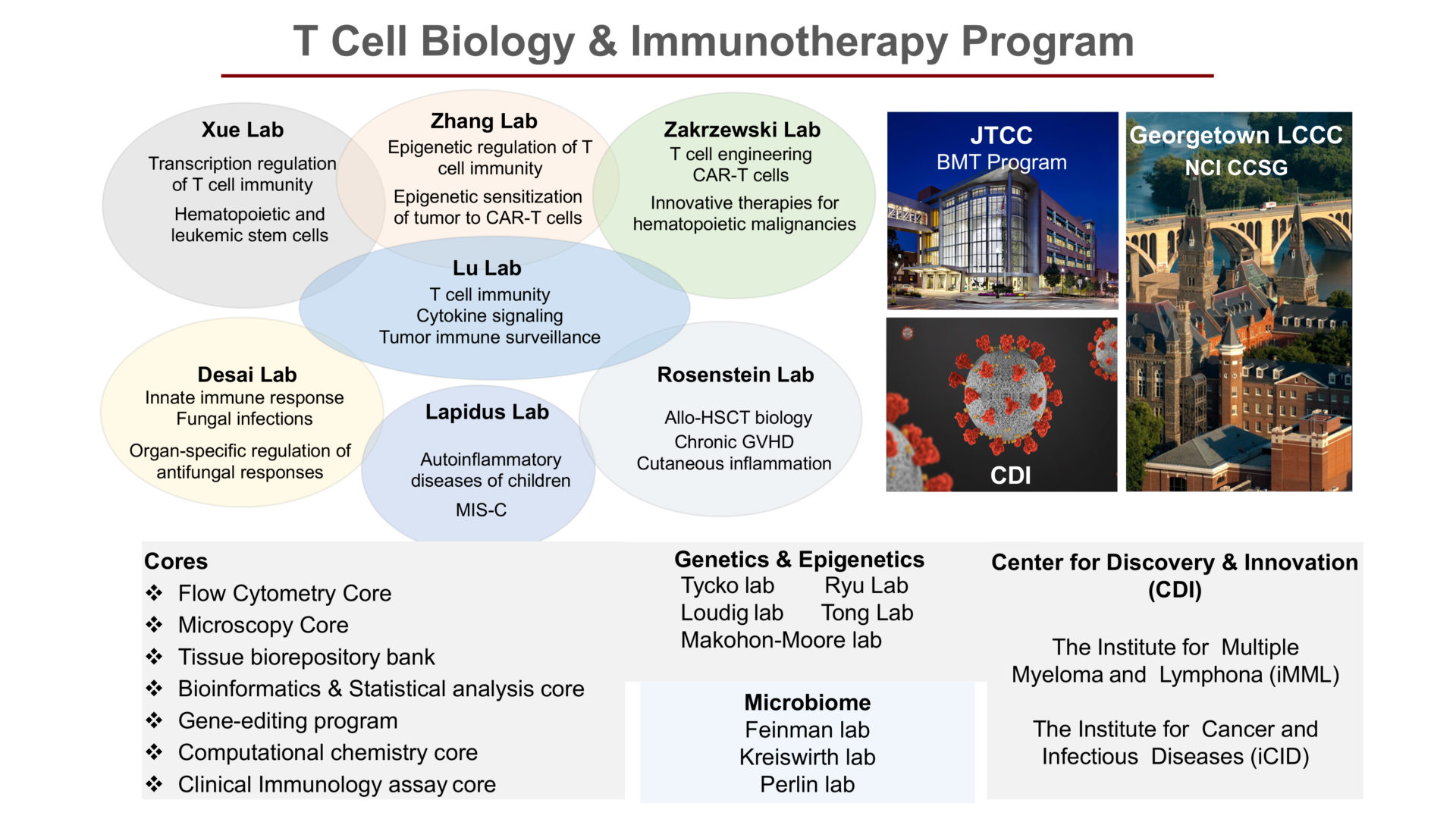 Institute for Immunologic Intervention (3i)